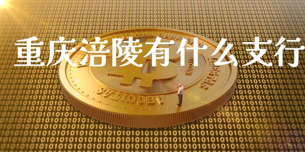 重庆涪陵有什么支行_https://wap.letulww.com_融资租赁_第1张