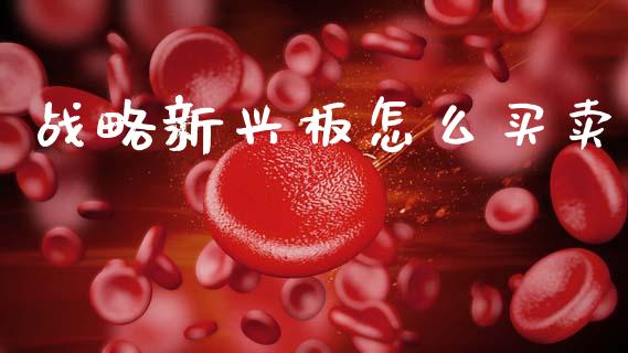 战略新兴板怎么买卖_https://wap.letulww.com_投资策略_第1张