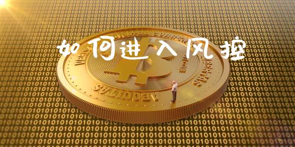 如何进入风控_https://wap.letulww.com_投资策略_第1张