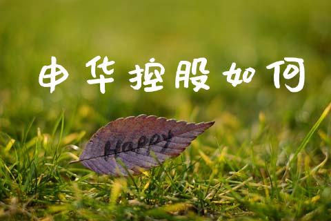 申华控股如何_https://wap.letulww.com_投资管理_第1张