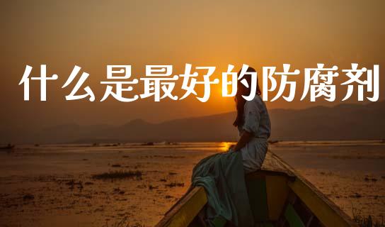 什么是最好的防腐剂_https://wap.letulww.com_外汇交易_第1张