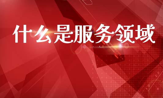 什么是服务领域_https://wap.letulww.com_融资租赁_第1张