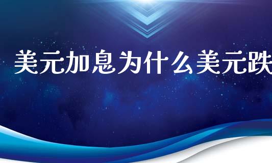 美元加息为什么美元跌_https://wap.letulww.com_投资管理_第1张