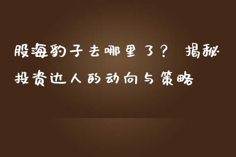股海豹子去哪里了？ 揭秘投资达人的动向与策略_https://wap.letulww.com_外汇交易_第1张