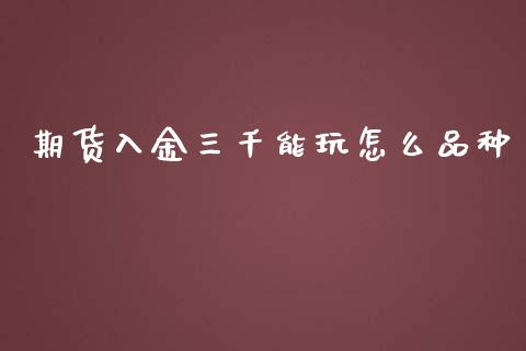 期货入金三千能玩怎么品种_https://wap.letulww.com_投资管理_第1张