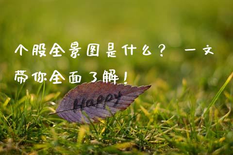 个股全景图是什么？ 一文带你全面了解！_https://wap.letulww.com_投资管理_第1张