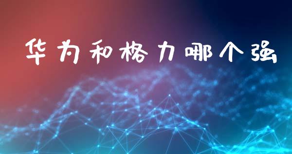 华为和格力哪个强_https://wap.letulww.com_投资管理_第1张