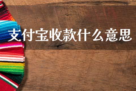 支付宝收款什么意思_https://wap.letulww.com_投资管理_第1张