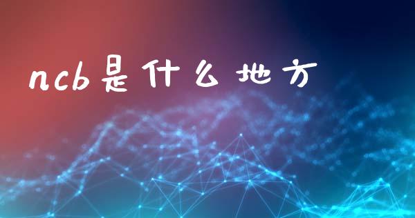 ncb是什么地方_融资租赁_第1张_外汇交易_投资策略_融资租赁_投资管理 ncb是什么地方_https://wap.letulww.com_融资租赁_第1张