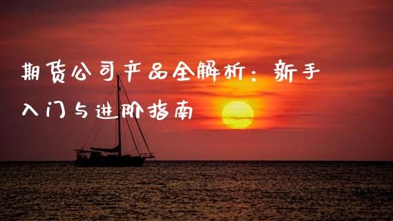期货公司产品全解析：新手入门与进阶指南_https://wap.letulww.com_融资租赁_第1张