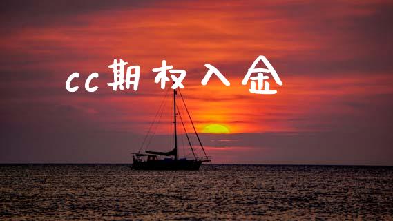 cc期权入金_https://wap.letulww.com_外汇交易_第1张