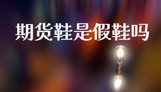 期货鞋是假鞋吗_https://wap.letulww.com_投资策略_第1张