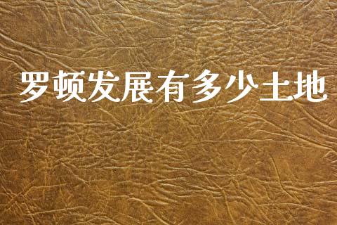 罗顿发展有多少土地_https://wap.letulww.com_投资管理_第1张