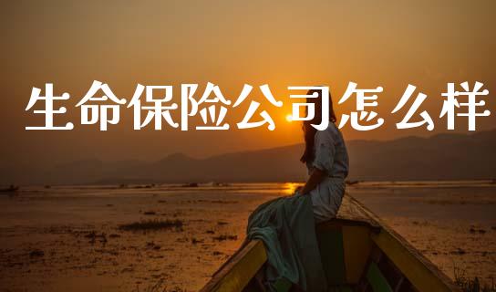 生命保险公司怎么样_https://wap.letulww.com_投资策略_第1张