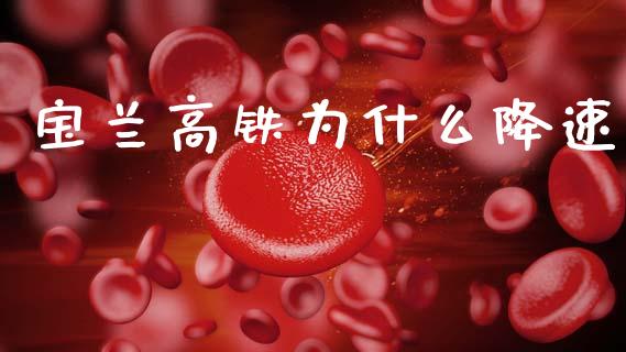宝兰高铁为什么降速_https://wap.letulww.com_外汇交易_第1张