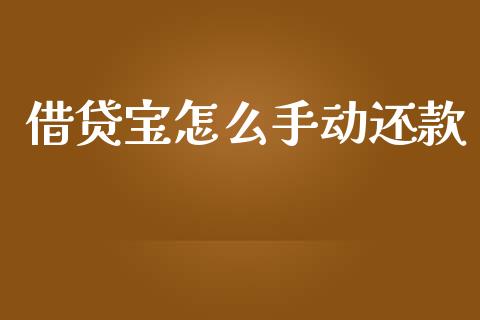 借贷宝怎么手动还款_https://wap.letulww.com_融资租赁_第1张
