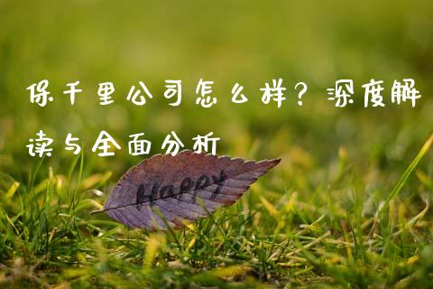 保千里公司怎么样？深度解读与全面分析_https://wap.letulww.com_投资管理_第1张
