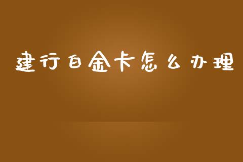建行白金卡怎么办理_https://wap.letulww.com_投资管理_第1张