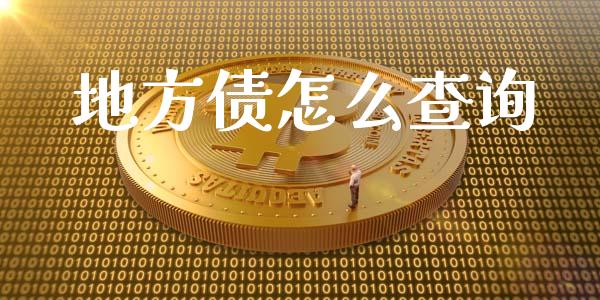 地方债怎么查询_https://wap.letulww.com_外汇交易_第1张