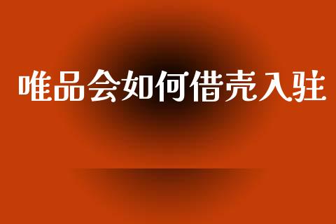 唯品会如何借壳入驻_https://wap.letulww.com_投资管理_第1张