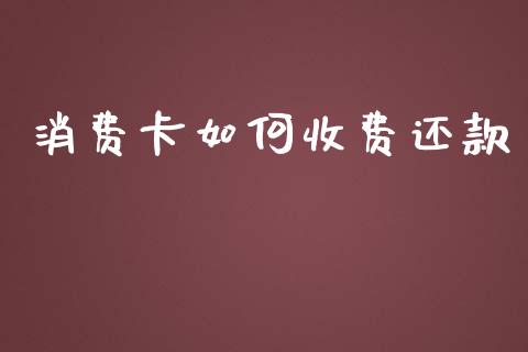消费卡如何收费还款_https://wap.letulww.com_融资租赁_第1张