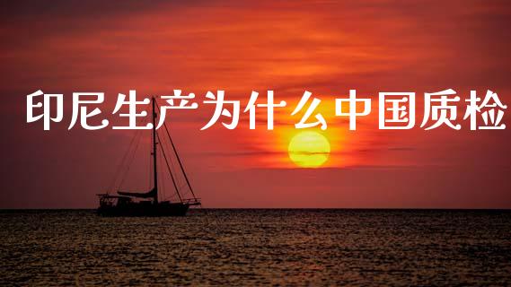 印尼生产为什么中国质检_https://wap.letulww.com_投资策略_第1张