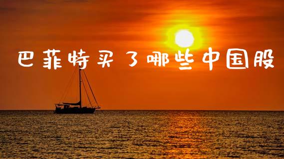 巴菲特买了哪些中国股_https://wap.letulww.com_外汇交易_第1张