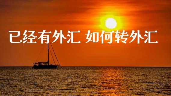已经有外汇 如何转外汇_https://wap.letulww.com_投资管理_第1张