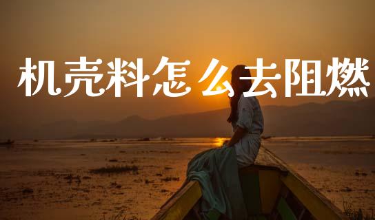 机壳料怎么去阻燃_融资租赁_第1张_外汇交易_投资策略_融资租赁_投资管理 机壳料怎么去阻燃_https://wap.letulww.com_融资租赁_第1张