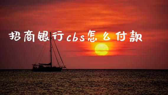 招商银行cbs怎么付款_https://wap.letulww.com_投资策略_第1张
