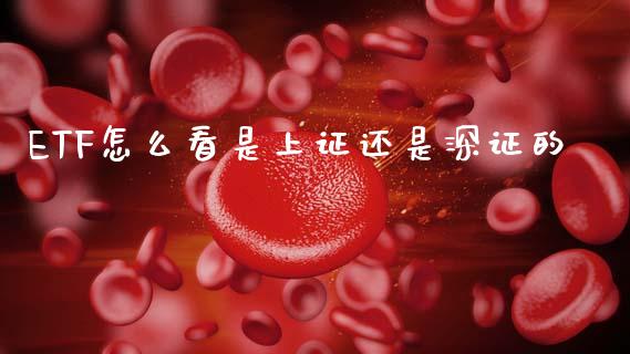 ETF怎么看是上证还是深证的_https://wap.letulww.com_投资管理_第1张