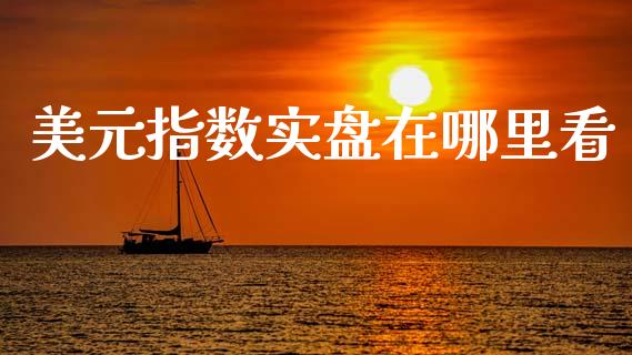 美元指数实盘在哪里看_https://wap.letulww.com_融资租赁_第1张