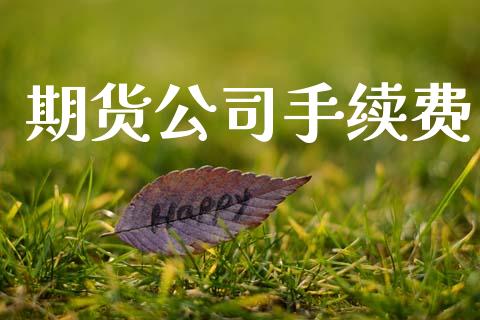 期货公司手续费_https://wap.letulww.com_外汇交易_第1张