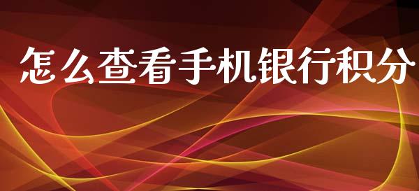 怎么查看手机银行积分_https://wap.letulww.com_投资策略_第1张