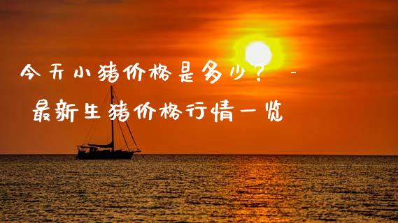 今天小猪价格是多少？ - 最新生猪价格行情一览_https://wap.letulww.com_投资策略_第1张