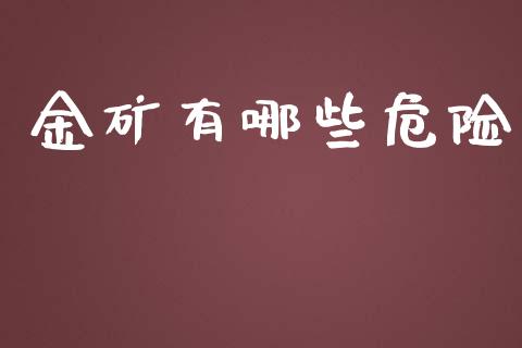 金矿有哪些危险_https://wap.letulww.com_投资管理_第1张