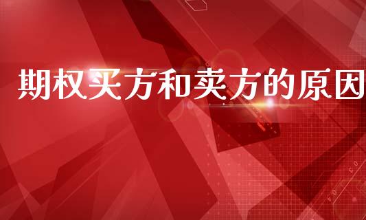 期权买方和卖方的原因_https://wap.letulww.com_投资策略_第1张