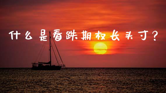 什么是看跌期权长头寸?_投资管理_第1张_外汇交易_投资策略_融资租赁_投资管理 什么是看跌期权长头寸?_https://wap.letulww.com_投资管理_第1张