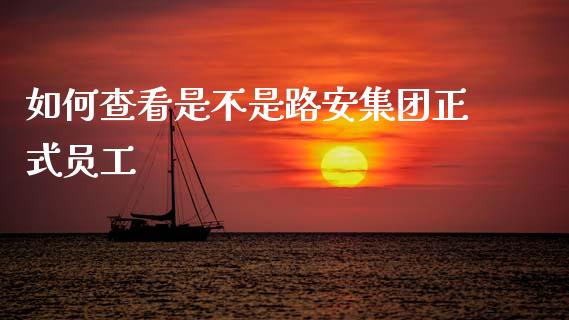 如何查看是不是路安集团正式员工_https://wap.letulww.com_投资策略_第1张