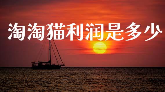 淘淘猫利润是多少_https://wap.letulww.com_投资策略_第1张