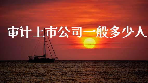 审计上市公司一般多少人_https://wap.letulww.com_投资策略_第1张