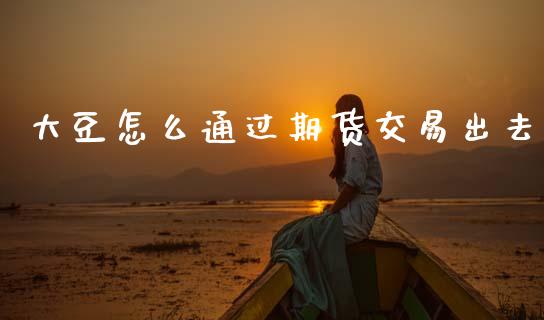 大豆怎么通过期货交易出去_https://wap.letulww.com_投资策略_第1张