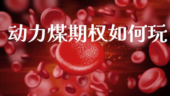 动力煤期权如何玩_https://wap.letulww.com_投资策略_第1张