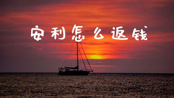 安利怎么返钱_https://wap.letulww.com_投资管理_第1张