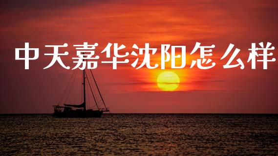 中天嘉华沈阳怎么样_https://wap.letulww.com_外汇交易_第1张