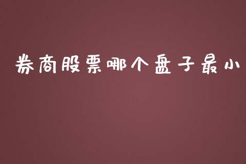 券商股票哪个盘子最小_https://wap.letulww.com_投资策略_第1张
