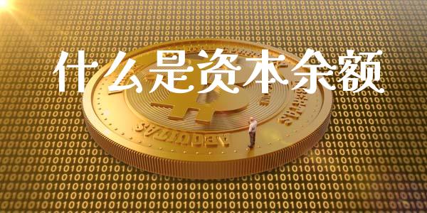 什么是资本余额_https://wap.letulww.com_投资策略_第1张