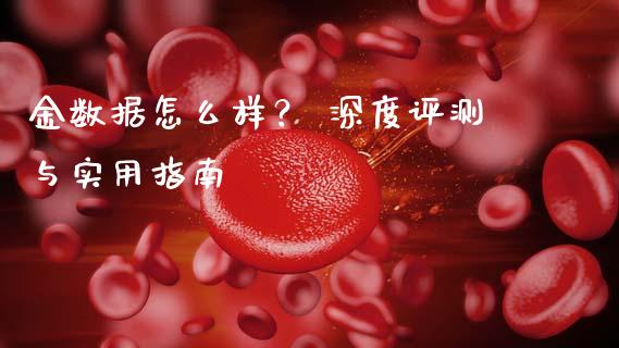 金数据怎么样？ 深度评测与实用指南_https://wap.letulww.com_投资管理_第1张