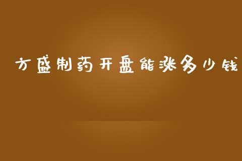 方盛制药开盘能涨多少钱_https://wap.letulww.com_融资租赁_第1张