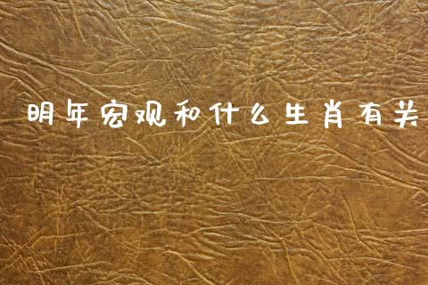 明年宏观和什么生肖有关_https://wap.letulww.com_投资管理_第1张